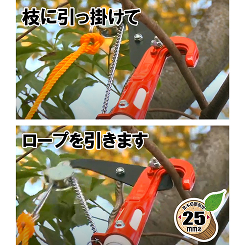 つるぎ様 61swn6MRuwL._UF350,350_QL50_.jpg