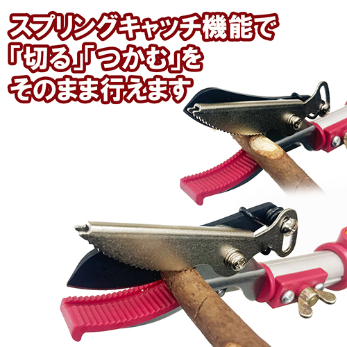 千吉・軽量伸縮高枝切鋏 2段3M・SGLP-11－園芸道具・高枝切