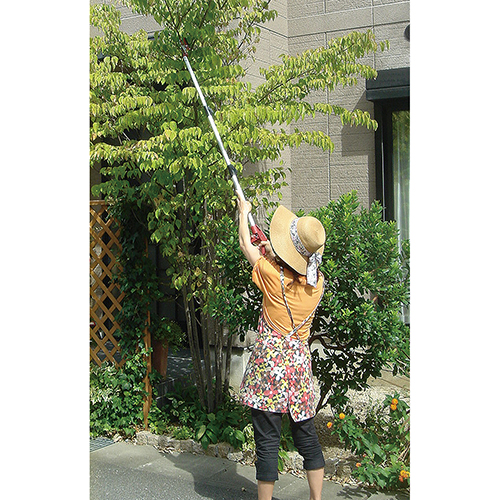 葉皿 平皿 大判 重要無形文化財 藤原雄工房 希少 1点もの アンティーク 楽天市場】藤原産業 千吉 先細鋸鎌ステン 150MM : 御用待本舗