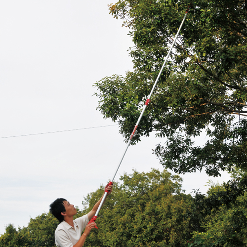 E－Value・強力剪定伸縮高枝切鋏2段3M・EGLP-5－園芸道具