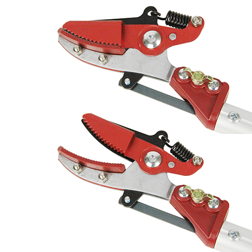 千吉・強力剪定伸縮高枝切鋏2段2M・SGLP-4－園芸道具・高枝切・伸縮