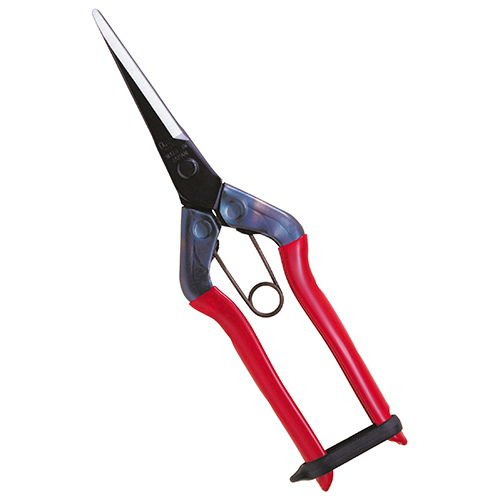 チカマサ・芽切鋏ロング・T-570－園芸道具・鋏・収穫鋏：DIYツール