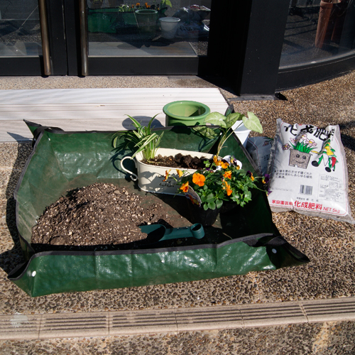 藤原さん商品 Amazon | かぐや様は告らせたい Coreful フィギュア 藤原千花