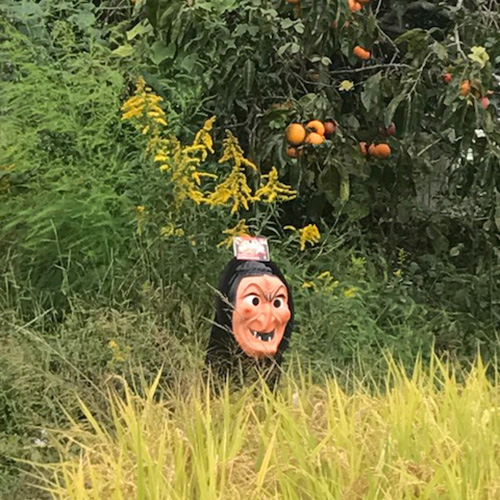 龍宝丸・鳥追いばあさん・K-014－園芸用品・忌避商品・防鳥用品