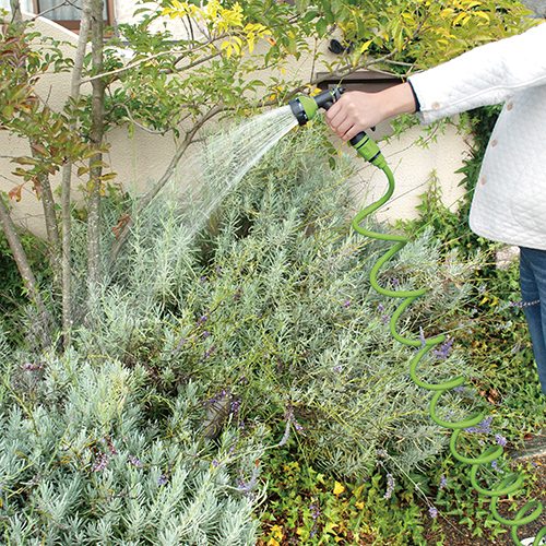 セフティ－3・コイルホースNEXT 15m・SCHNT-15 OL－園芸用品